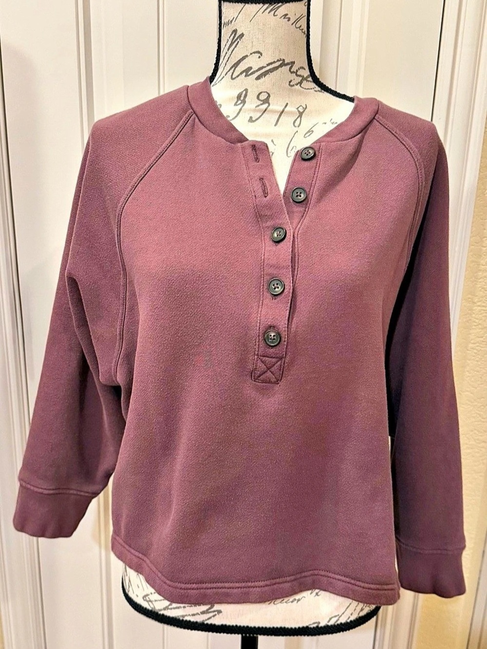 Madewell Long Sleeve Henley Sweatshirt in Purple Size Medium Like New